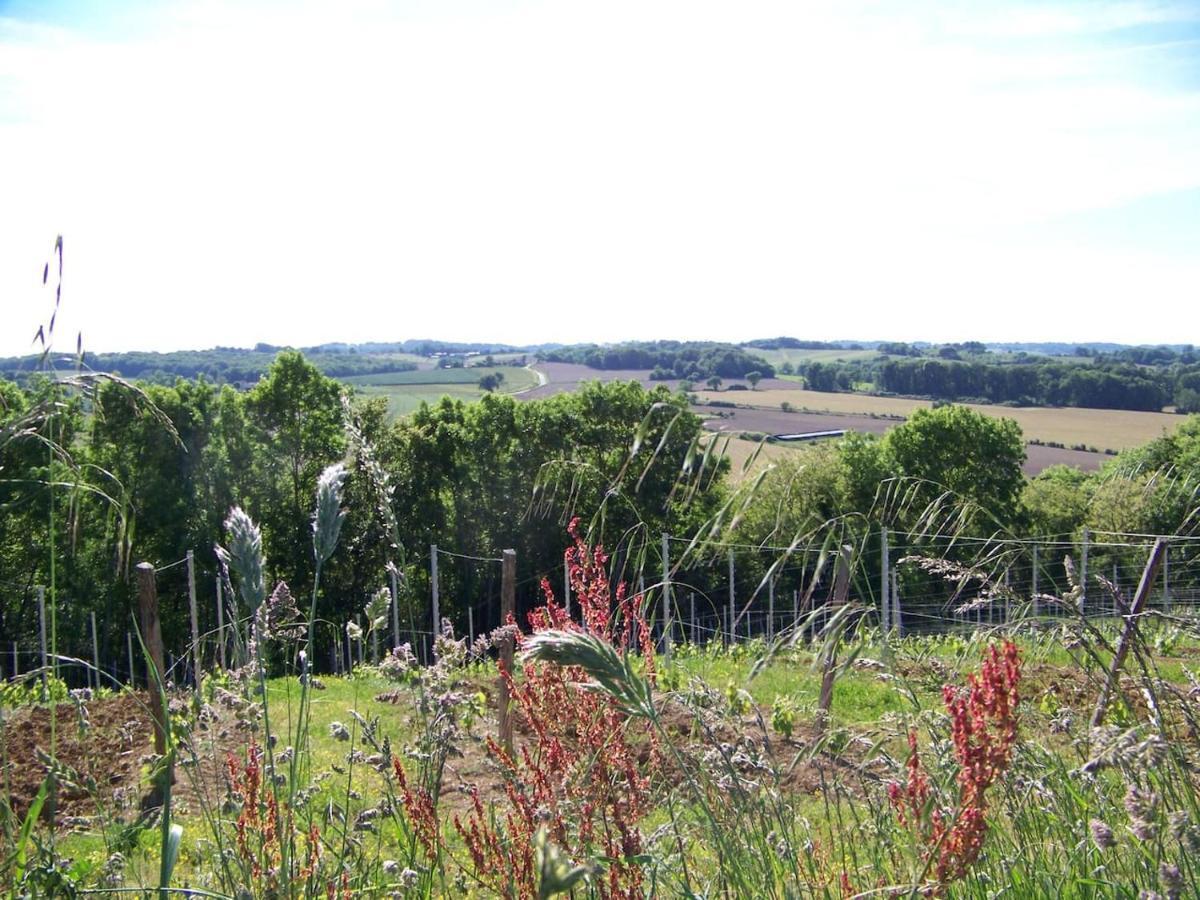 Gite, Jacuzzi & Vin Au Grenier De Madiran Kültér fotó